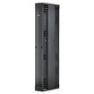 Panduit 10IN PE2V CBL MGR Wide Double S EA