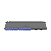 Panduit FDC9N-24-10ASRH 24-Fiber LC/MPO-12 OS2 Cassette