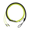 Panduit FWUYL7575LAM087 Trunk Cable Assembly