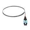 Panduit OM4 12F RIB Assbly Panmpo FEM TEA