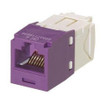Panduit Mini COM MOD CAT 6 UTP 8 POS 8 Wire Univ