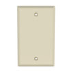 Panduit CPNEI Blank Faceplate