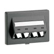 Panduit CFFPEBSL4BL Furniture Faceplate