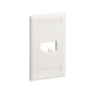 Panduit CFPL2IWY Faceplate