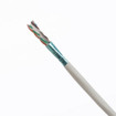 Panduit Cqnt CAT6A UTP MTX RIS BU Cass 15FT - QZRBCCB0001F015
