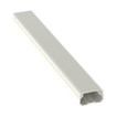 Panduit Race WAY PWR IW 0.75X0.41 8FT MOQ20 PK8