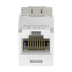Panduit CJ688TGWH Jack Module