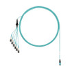 Panduit FZTRL8NUFSNM002 OM4 12 Fiber Harness Cable Assembly