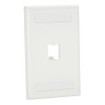 Panduit Mini COM 1PT SGL Classic Faceplae T IW