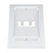 Panduit CFPE2WHY Faceplate