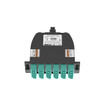 Panduit FC2ZO-24-10U Fiber Cassette