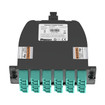 Panduit FC2ZO-24-10U Fiber Cassette