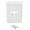 Panduit CFPL2WHY 2-Port Faceplate