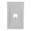 Panduit CFPE1WHY Faceplate
