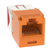Panduit CJ5E88TGOR Cat 5e UTP RJ45 Jack Module