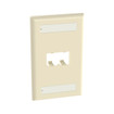 Panduit CFPL2EIY Faceplate