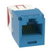 Panduit CJ5E88TGBU-24 Cat 5e RJ45 Jack Module