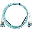 Panduit FRZUPJJY012F030 Fiber Interconnect Cable