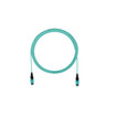 Panduit FRZ8PYYL011M005 OM4 Fiber Cable