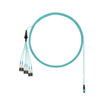 Panduit OM4 12FIBER Intercn FEM TO FEM 80 FT - FRZTP77X001F080