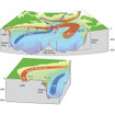 Middle Atlantic 4INCOVERASSEMBLYSURFACEGY - 4CTCGY