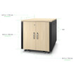 APC Netshelter Soundproof 12U Server Rack Enclosure Maple - AR4012A