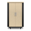 APC by Schneider Electric CX 24U SEC Sndprfd SVR RM BX Enclsr Intl - AR4024IA