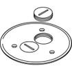 Middle Atlantic Brass CPT Screw Plug PLT - 895SP