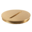 Middle Atlantic Brass Tile Screw Plug PLT - 895TSP