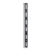 APC by Schneider Electric Vertical Cable Manager for Netshelter SX 750MM Wide 42 - view 2