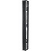 APC by Schneider Electric Valueline Vertical Cable Manager for 2 & 4 Post Racks 84INH - AR8715