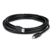 APC by Schneider Electric Netbotz USB Latching Cable Lszh - 5M - NBAC0214L
