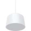 Axis 02389-001 Network Pendant Speaker