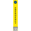 Viking E-1600A-BLT2-EWP 2-Button ADA Emergency Tower Phone IP66