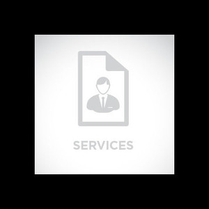 APC by Schneider Electric Stand Alone PM or Recertification Visit for UPS up to 40 - WSAPMV-UG-01