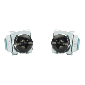Panduit M5 SCREW WITH CAGE NUT - CNWSM5-C