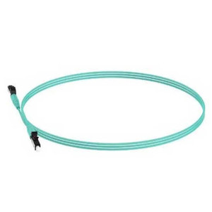 Panduit 50UM OM4 24 FIDC OFNP 900UMBF P K1 - FODPZ24Y