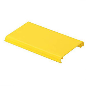 Panduit CHNL COVER SNAPON 24 X 4 600MM - FRCV24BL10