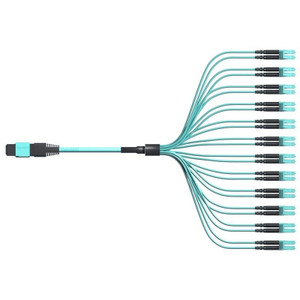 Panduit OM4 24FIBER INTERCONPLENUM F BREAKOUT 24 60CM 34FT - FRZUP77Y002F034