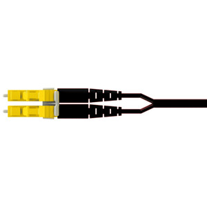 Panduit FS2EPLDLDNDM008