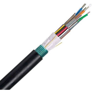 Panduit 1PK 9UM OS2 24 FIBER OUTSIDE - FSWN924