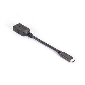Black Box Convert A Computers USB 3.1 Type-c Port Into A - USB3C