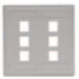 Face Plate Rear-Loading 6 Port Double Gang Gray