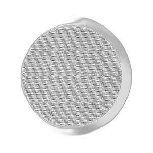 Speco SPIPG66T Speco Technologies SPIPG66T IP 6" Speaker Grill Combo