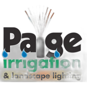 Paige Electric 1U22042B1 22/4c STR CM White 1000ft