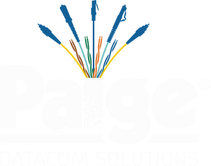 Paige Electric 258310306 Gamechanger 22/4PR Cmr Blue 1000ft