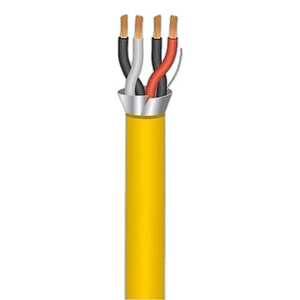 Paige Electric 744005AYW 24/2PR Str Oas Cmp Locap RS486 Reader