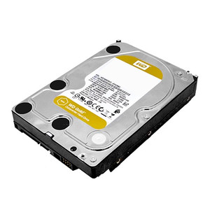 WD101KRYZ 10TB 3.5 inch hard drive for ACTi security systems close-up
