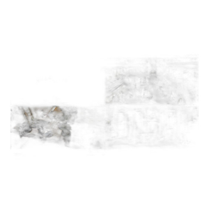 Geovision GV-VMS Management System