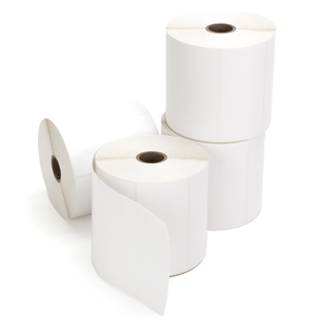 TSC T6EX04-01-S0-24-10-DUP T6EX04-01-S0-24-10 Industrial Thermal Transfer Printer
